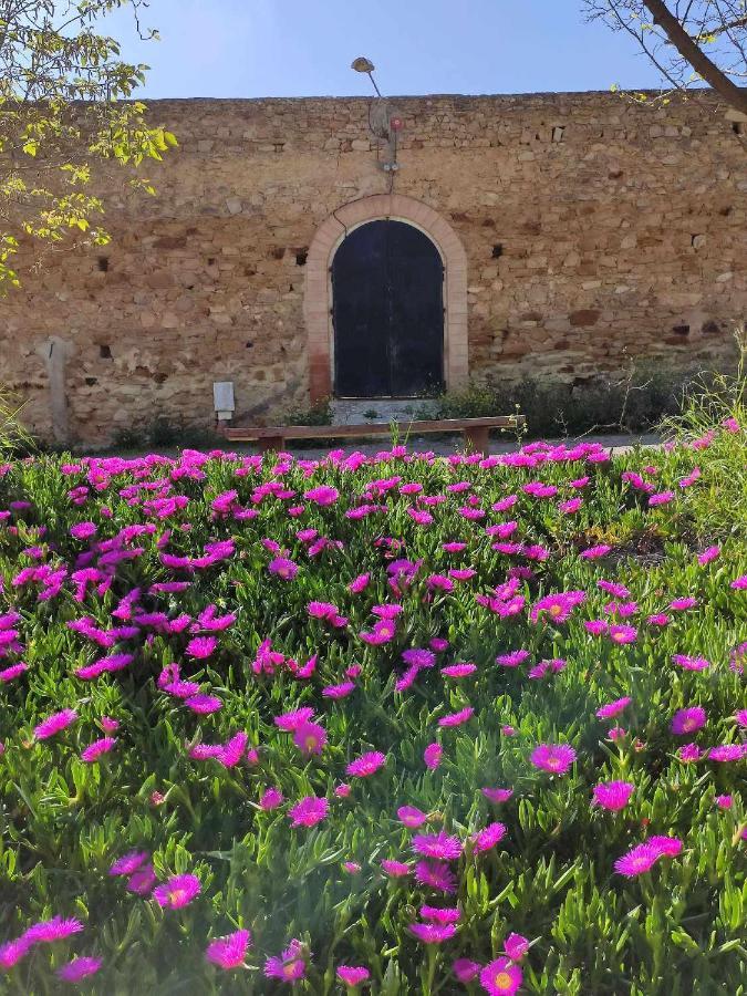 Finca Las Rosas De Santa Ana Villamartin  Bagian luar foto