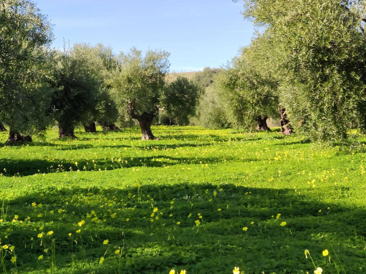 Finca Las Rosas De Santa Ana Villamartin  Bagian luar foto