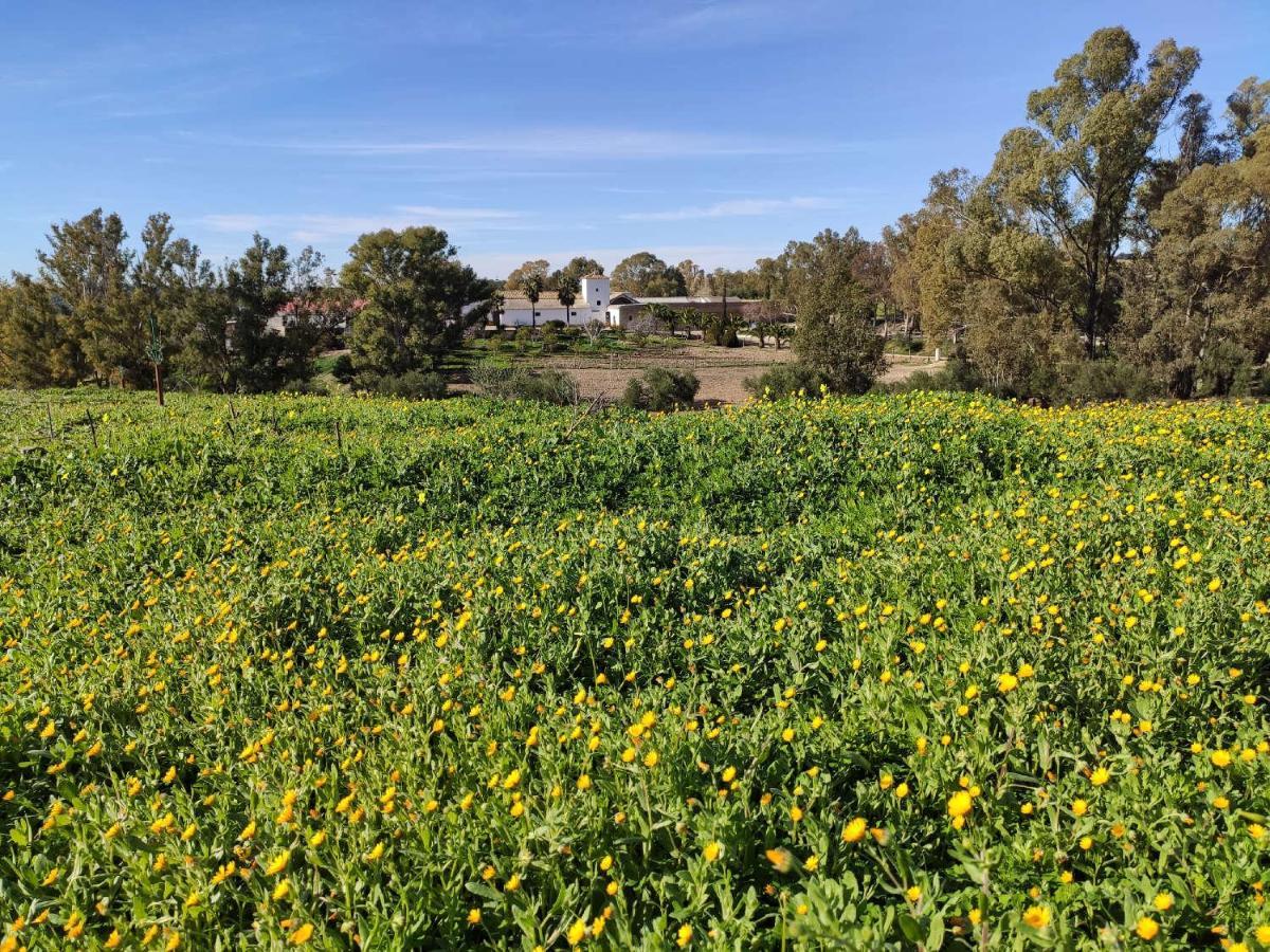 Finca Las Rosas De Santa Ana Villamartin  Bagian luar foto